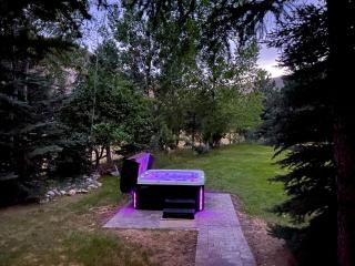 Bear Lodge with private Pool, Hottub, and Sauna! - Hailey - 2