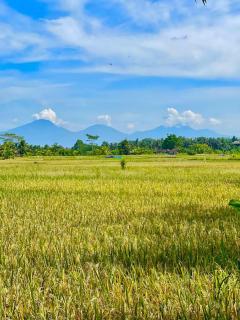 Summer Moon Villa, Rice Field View Near Ubud Center - 3