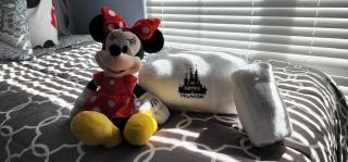 My Home in Orlando - Kissimmee - 8