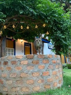 Pousada Villa Parahytinga - São Luiz do Paraitinga - 4
