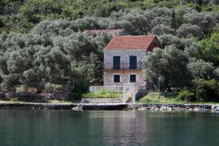 Apartments by the sea Prozurska Luka, Mljet - 619 - 0