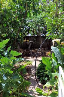 Apartments with a parking space Hvar - 624 - 2