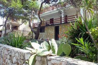 Apartments by the sea Mudri Dolac, Hvar - 595 - Vrbanj - 2