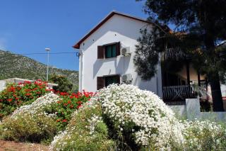 Apartment Zavala 594b - Jelsa - 0