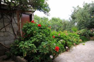 Apartments with parking space Zavala, Hvar - 593 - 3