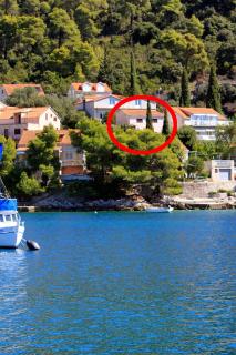 Apartments by the sea Brna, Korcula - 560 - Smokvica - 0