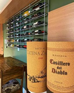 Apartamento temático luxo Mundo do Vinho! - Bento Gonçalves - 0
