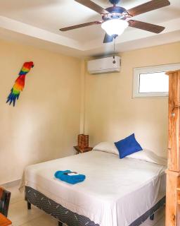 Casa Inti Guesthouse & Lodge - Managua - 7
