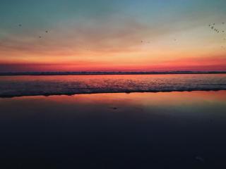 Rock’s Beach Spot Suit - 4