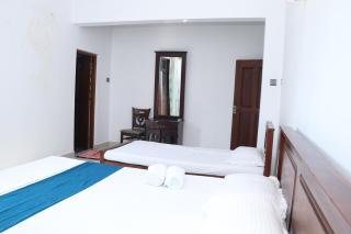 Southern Entry Dickwella - 3