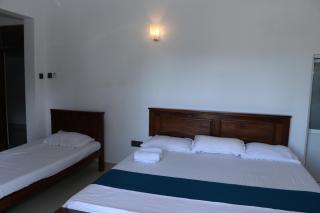 Southern Entry Dickwella - 2