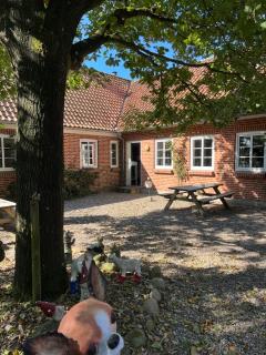 Familiehuis Boysen Bed&Breakfast - Ribe - 9