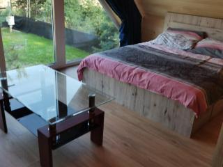Dziki zakątek Piskornia dom z balią jacuzzi - Piskornia - 3