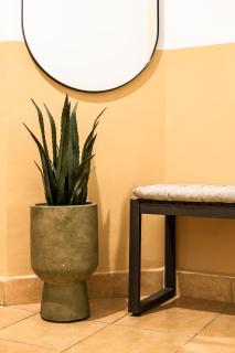 Casa Natura Downtown - 1