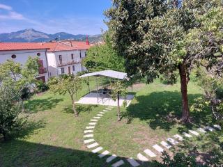 L' antico nespolo - Nemoli - 5