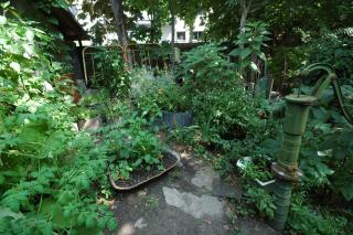 Sandino Summer Camp - Berlino - 2
