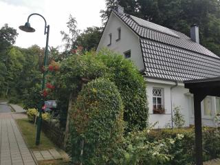 Rügen Fewo 91 Buchenwinkel - Bergen auf Rügen - 8