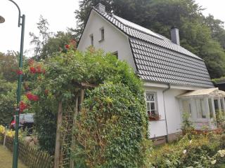 Rügen Fewo 91 Buchenwinkel - Bergen auf Rügen - 9