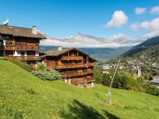 Ski-in/ski-out & pool: great for summer and winter - Saint-Gervais-les-Bains - 0