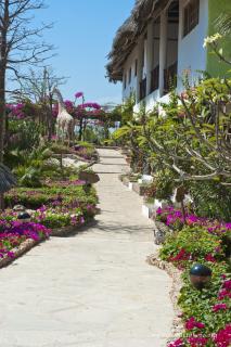 Jacaranda Beach Resort - Watamu - 8