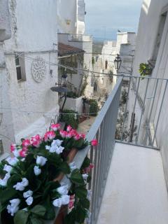 Belvedere with huge terrace - Ostuni center - Ostuni - 8