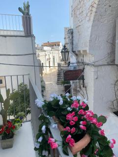 Belvedere with huge terrace - Ostuni center - Ostuni - 7