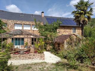 Le palmier d'Alice - Collonges - 0
