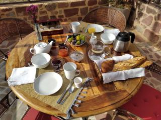 Le palmier d'Alice - Collonges - 6
