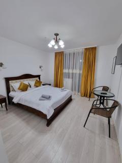 Pensiunea Sofia - Onceşti - 6