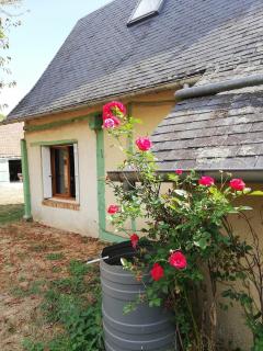 Le gîte de Vascœuil - Vascoeuil - 7
