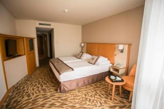 Lotus Therme Hotel & Spa - Hévíz - 6