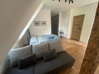 Apartament Willa Bellevue - Rabka - 6