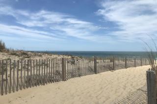 Sea Loft 205 - Ocean City - 9