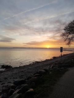 Strandappartements Steinberghaff "Sonderborg" mit Parkblick - 2