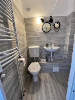 Miha modern and central apartament - Arad - 7