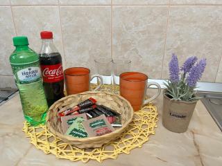 Miha modern and central apartament Malul Mureșului - 8