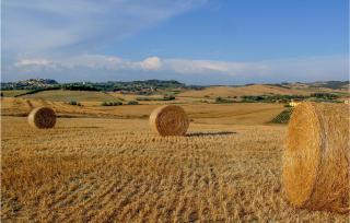 Beautiful Home In Volterra - Volterra - 6