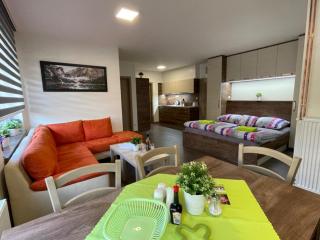 Apartment WELLNESS Vlčková - Vlčková - 1