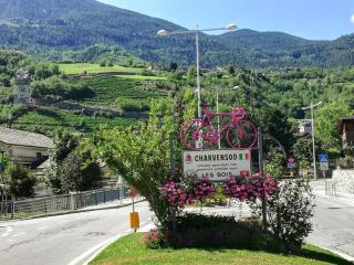 La Vache Qui Roule -CIR Charvensod 0037 - Aosta - 4
