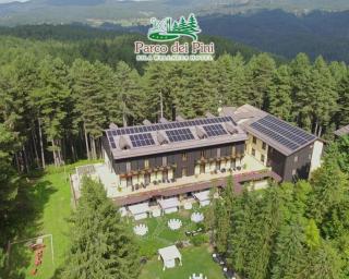Parco dei Pini - Sila Wellness Hotel - Taverna - 9