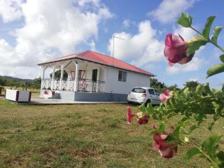 Fleur d'Hibiscus - 7