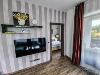 Silver Mountain G1 39 Perfect For You - Poiana Brasov - 4