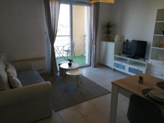 Le cocon de Marie,piscine, balcon, parking gratuit, baignoire - Carcassonne - 2