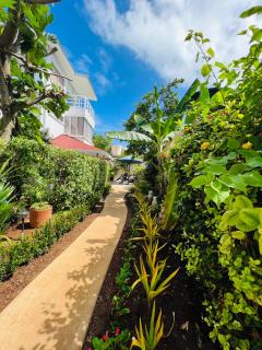 Summer House Inn San Andres - San Andrés - 9