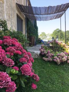 Maison familiale de charme - Chalabre - 4