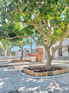 Andorinha Levante - 3