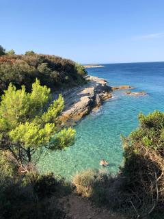 Villa Kadinela, 200m from Kamenjak, huge quiet garden with barbecue, 2 new kitchens - Premantura - 3