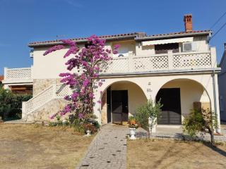 Villa Kadinela, 200m from Kamenjak, huge quiet garden with barbecue, 2 new kitchens - Premantura - 0