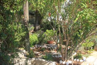 Apartments with parking space Rukavac, Vis - 2444 - 2