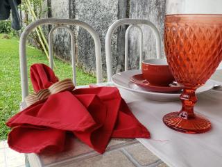 Casa vista para montanha Pet Friendly - 4